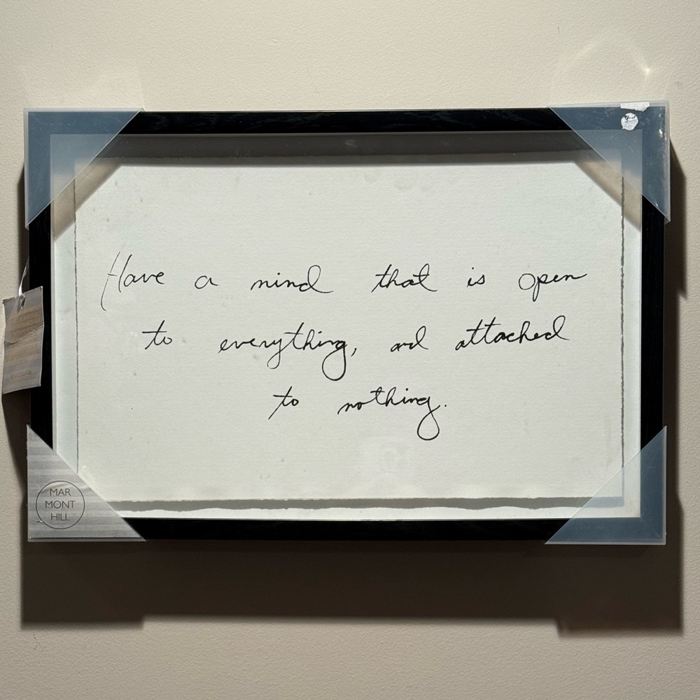 NWT Marmont Hill Have A Mind Open To Everything Framed Art 17”